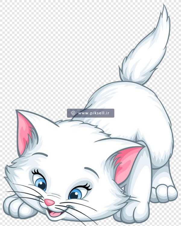 فایل png دوربری شده و ترانسرپرنت گربه سفید