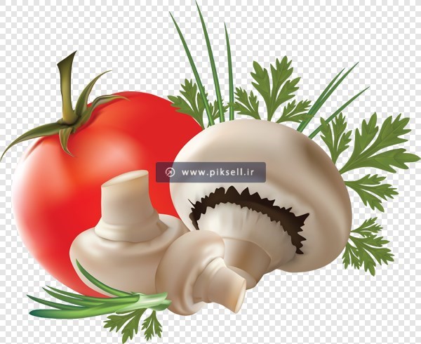 دانلود طرح png دوربری شده و ترانسپرنت گوجه فرنگی ، قارچ و جعفری