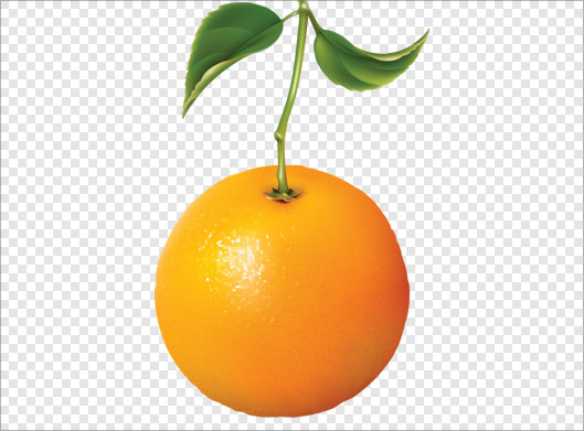 فایل دوربری شده و png پرتقال نارنجی (ترانسپرنت)