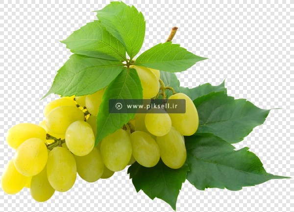 فایل ترانسپرنت دوربری شده خوشه انگلور زرد و برگ با فرمت png