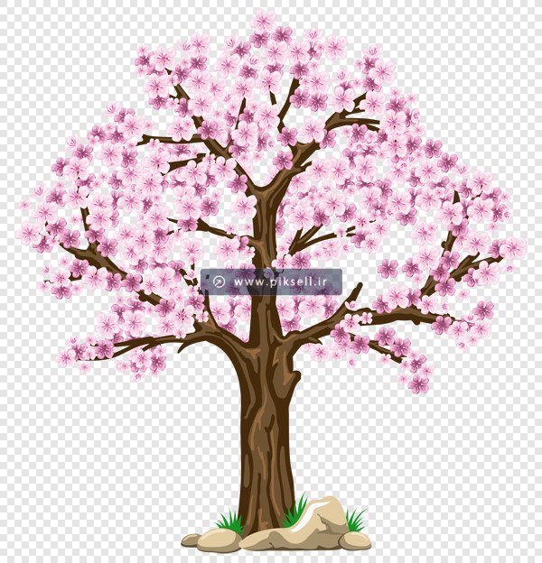 فایل png دوربری شده و ترانسپرنت درخت با شکوفه های صورتی بهاری