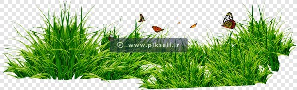 دانلود فایل دوربری شده و ترانسپرنت چمن زار سبز با فرمت png