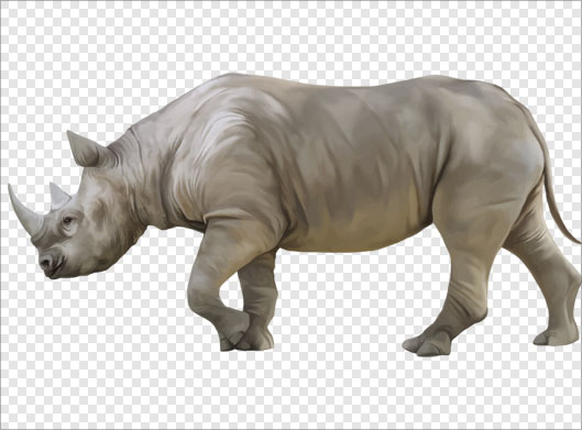 فایل png دوربری شده کرگدن بصورت ترانسپرنت
