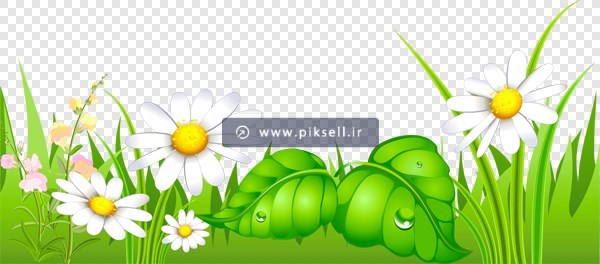 فایل png دوربری شده و ترانسپرنت چمن زار و گل