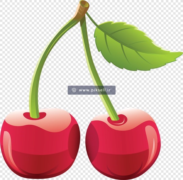 فایل png بدون زمینه گیلاس یا آلبالوی خوشمزه
