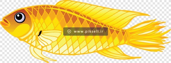 فایل دوربری شده و ترانسپرنت ماهی زرد کارتونی با فرمت png