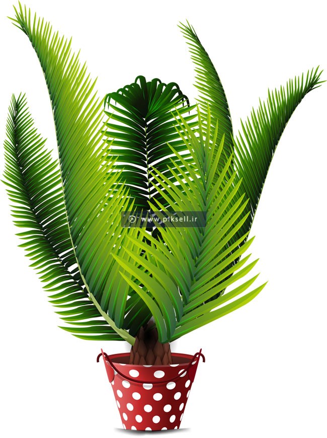 وکتور با طرح درختچه سرخس (درخت آپارتمانی)