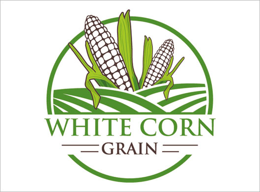 فایل وکتور لایه باز لوگو و لیبل مزرعه ذرت سبز و white corn