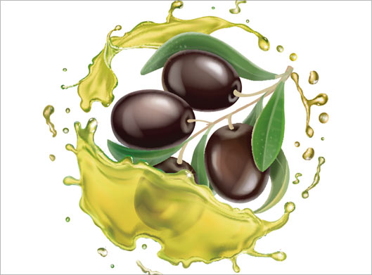 دانلود وکتور لایه باز طرح زیتون سیاه و روغن زیتون با فرمتهای eps و ai