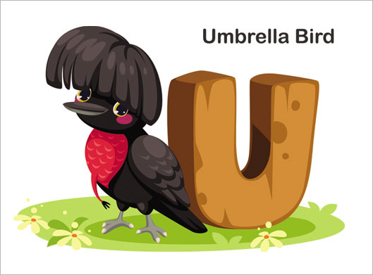 وکتور لایه باز طرح کارتونی مرغ چتری سیاه یا umberella bird