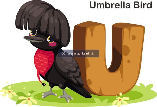 وکتور لایه باز طرح کارتونی مرغ چتری سیاه یا umberella bird