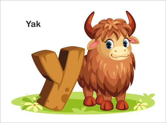 وکتور لایه باز طرح گرافیکی گاومیش یا YAK و حرف Y انگلیسی