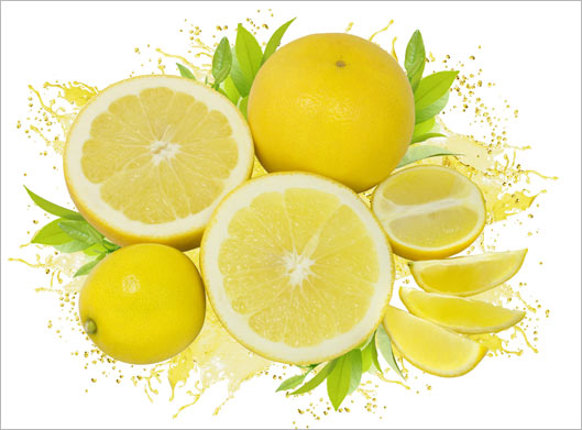عکس با کیفیت از لیمو شیرین های سالم و قاچ شده روی برگ های سبز