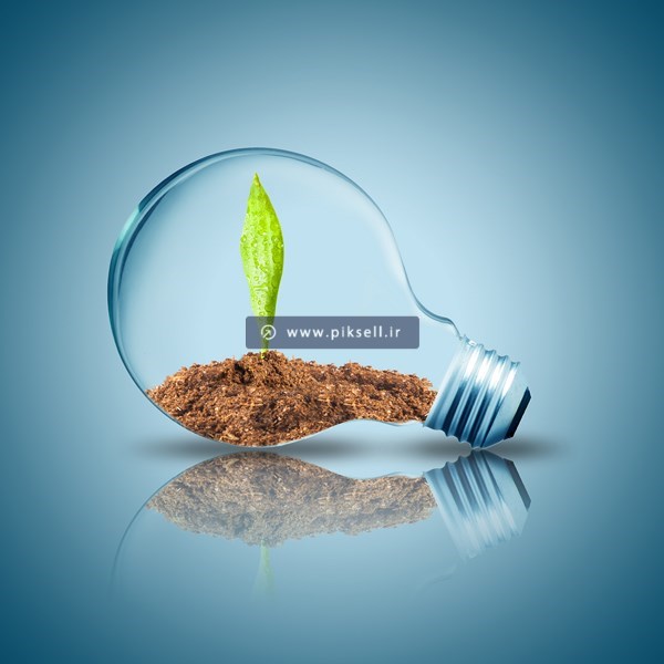 عکس با کیفیت از کاشتن گیاه در لامپ حبابی پرمصرف