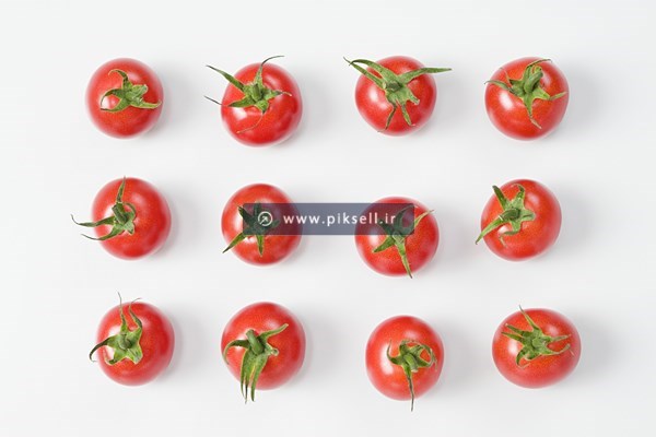 عکس با کیفیت از گوجه های گلخانه ای