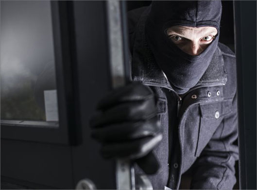 عکس با کیفیت از داخل شدن دزد