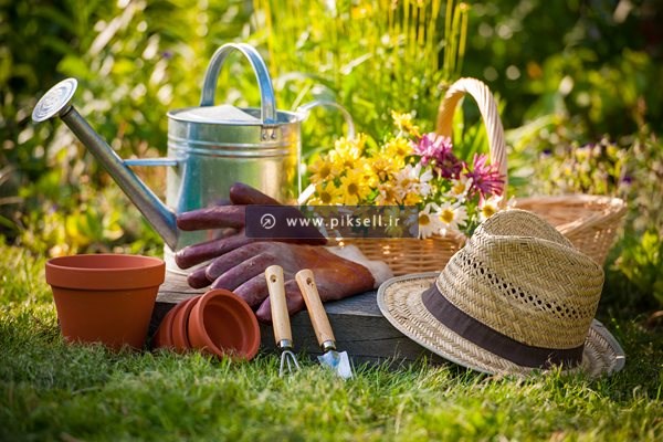 عکس با کیفیت از وسایل باغبانی