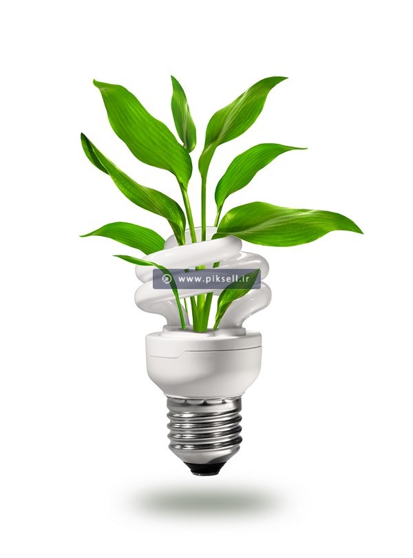 عکس با کیفیت از لامپ کم مصرف و گل