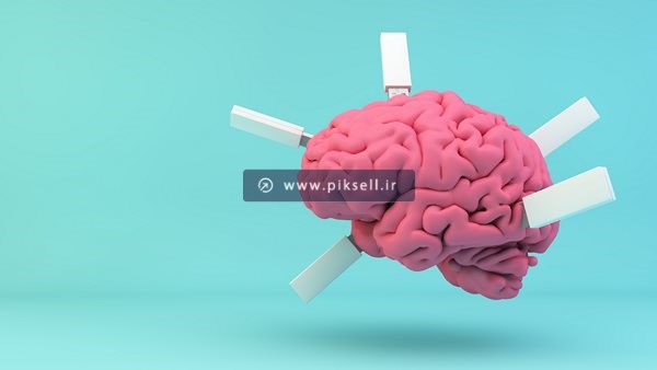 عکس با کیفیت از فلش های فرو رفته در مغز