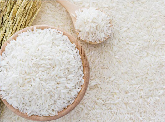 عکس با کیفیت از برنج اصیل شمالی