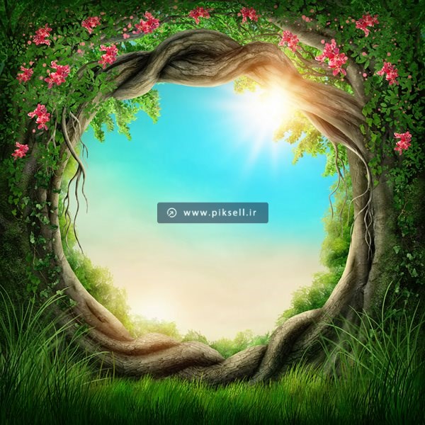 عکس با کیفیت از پس زمینه با حاشیه شاخه و برگ