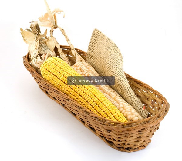 عکس با کیفیت از ذرت خشک شده در سبد