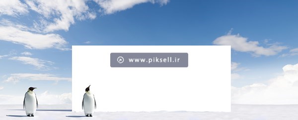 عکس با کیفیت از بنر در قطب