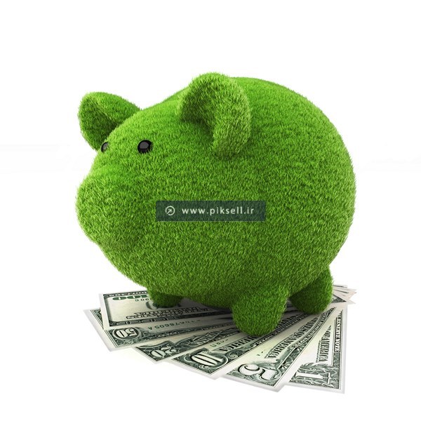 عکس با کیفیت از سبزه خوک روی پول