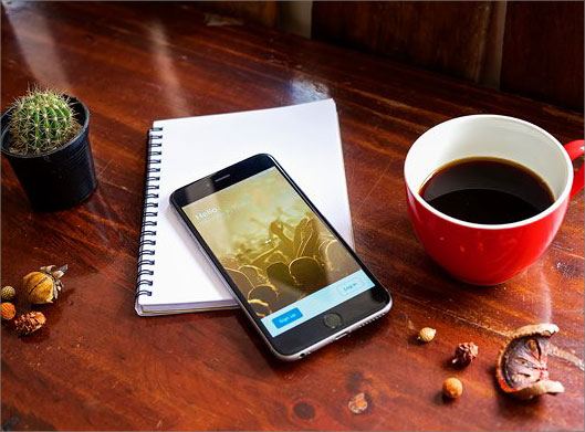 عکس با کیفیت از گرفتن عکس از کاکتوس با تلفن همراه