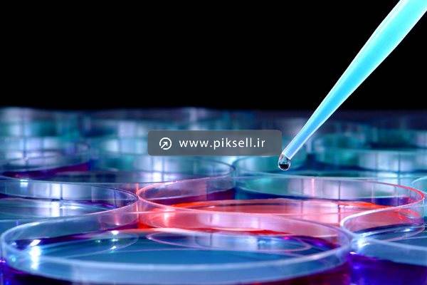 عکس با کیفیت از آزمایشات باکتری در آزمایشگاه