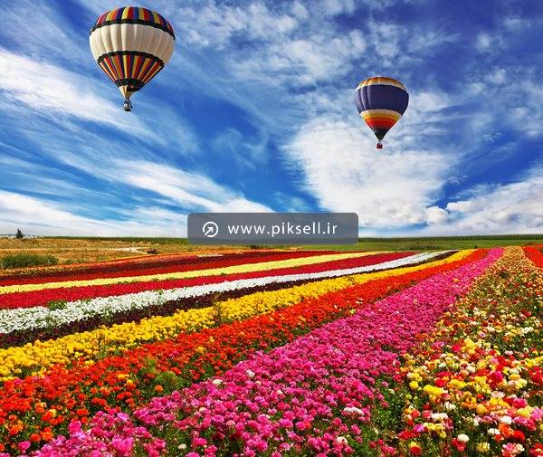 عکس با کیفیت از بالن و دشت گل
