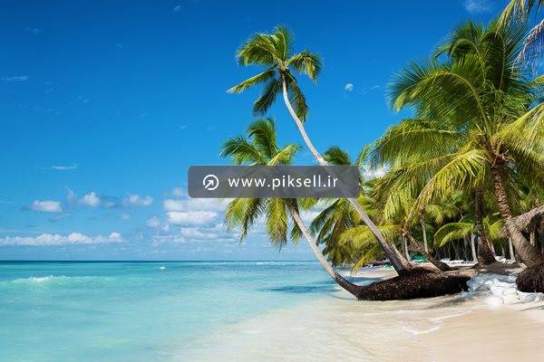 عکس با کیفیت از جزیره و درختان ، ساحل دریا