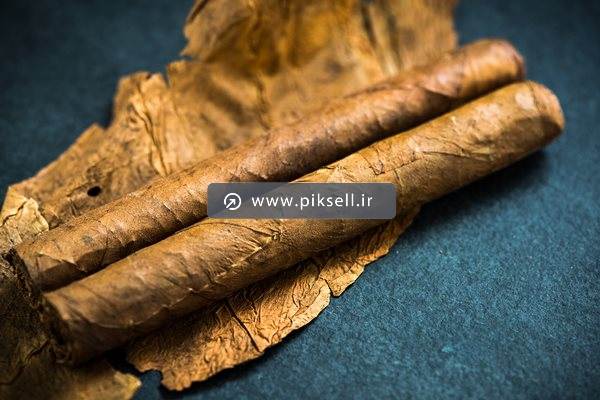 عکس با کیفیت از برگ و سیگار برگ