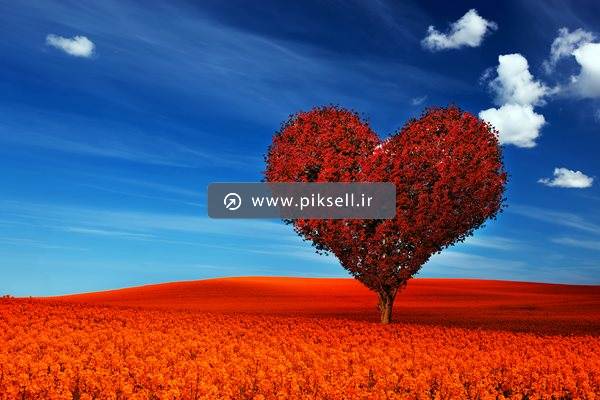عکس با کیفیت از مزرعه در پاییز