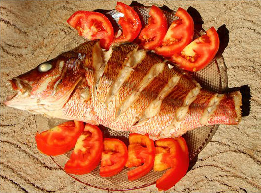 عکس با کیفیت از ماهی و دورچین گوجه فرنکی