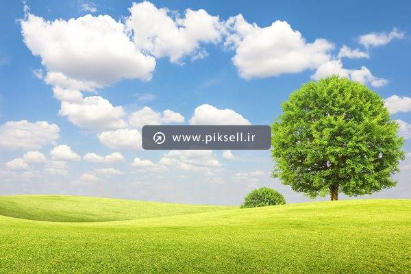عکس با کیفیت از دشت سرسبز بهاری