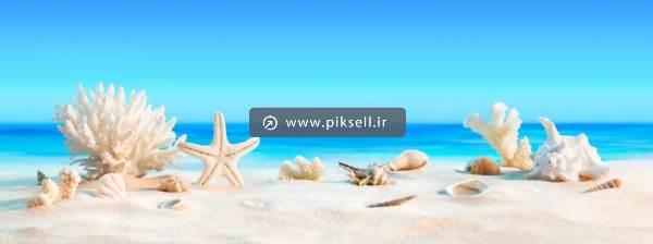 عکس با کیفیت از ستاره دریایی خشک شده کنار ساحل