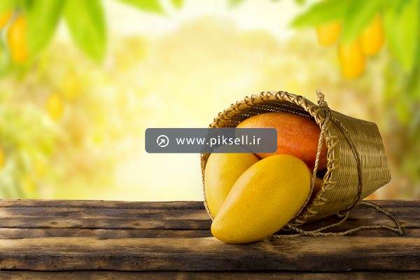 عکس با کیفیت از انبه ها در سبد