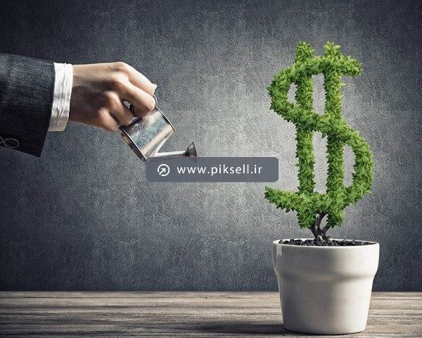 عکس با کیفیت از گل پول و سرمایه گذاری