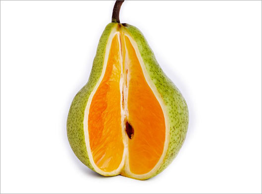 عکس با کیفیت از گلابی پرتقالی
