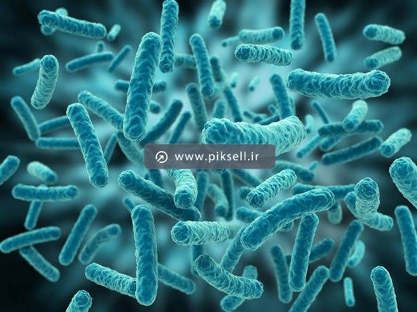 عکس با کیفیت از میکروب های آبی و پس زمینه ویروس