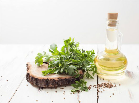عکس با کیفیت از جعفری و روغن زیتون