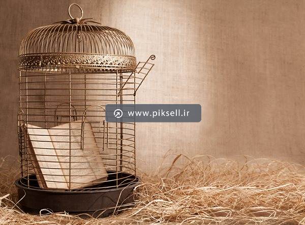 عکس با کیفیت از کتاب در قفس