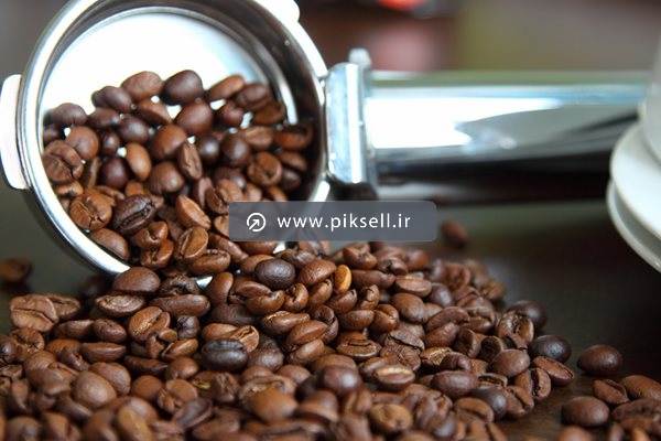 عکس با کیفیت از برداشتن دانه های قهوه