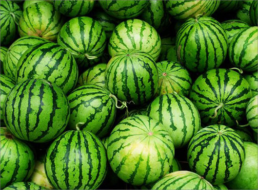 عکس با کیفیت از پس زمینه هندوانه های سبز