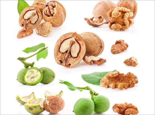 عکس با کیفیت از گردوی تازه ، گردوی سبز و گردوی شکسته