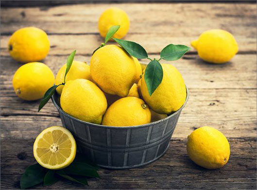 عکس با کیفیت از سبد و لیموترشهای زرد
