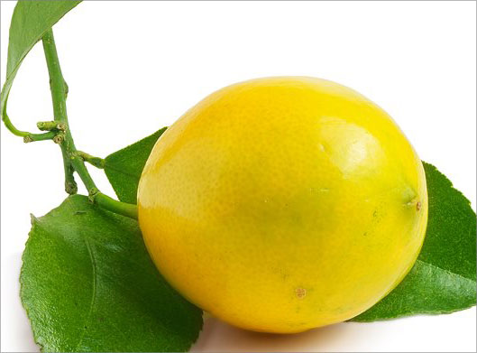 عکس با کیفیت از لیمو ترش و برگ و ساقه