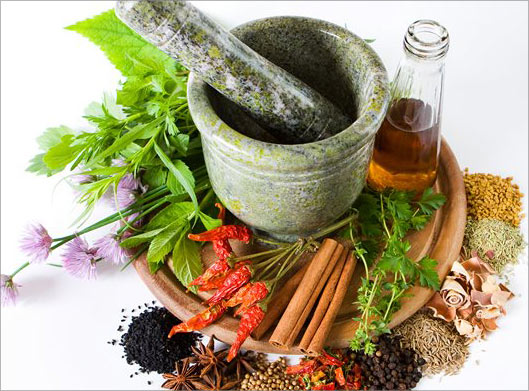 دانلود تصویر با کیفیت از هاون سنگی و مجموعه گیاهان و ادویه جات سنتی طبیعی