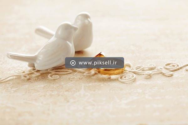 تصویر با کیفیت از حلقه های ازدواج و دو مجسمه پرنده سفید